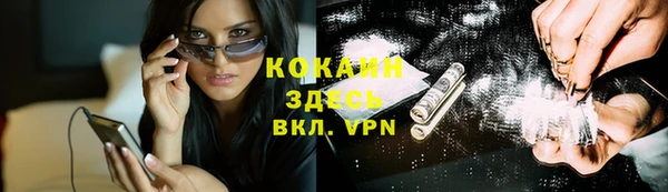 стафф Медногорск