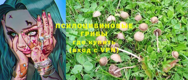 ешки Алзамай