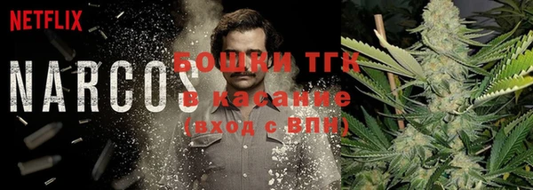 ешки Алзамай