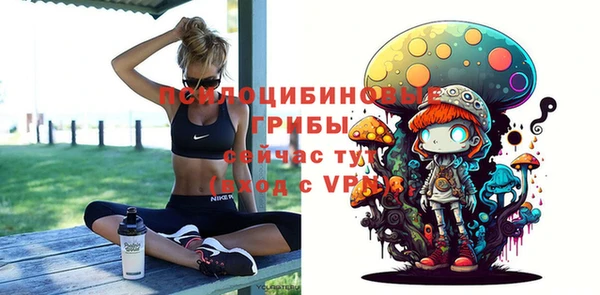 не бодяженный Медвежьегорск