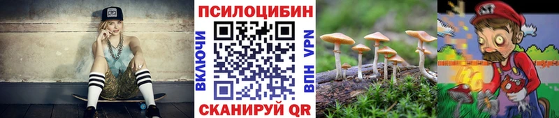 KRAKEN ссылки Бабаево Псилоцибиновые грибы Psilocybine cubensis